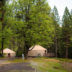 Yurt Hill
